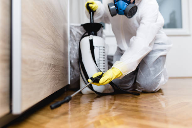 Trusted Browns Mills, NJ Pest Control Experts