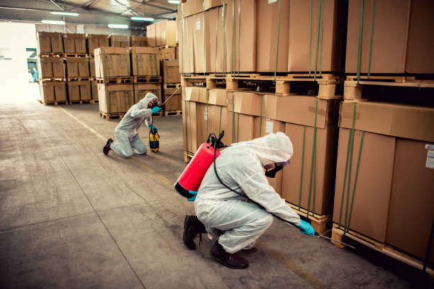 Flea Control Services in Browns Mills, NJ
