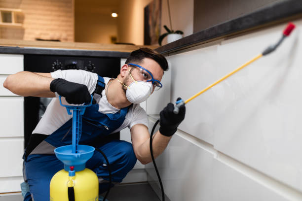 Best Best Pest Control Companies  in Browns Mills, NJ