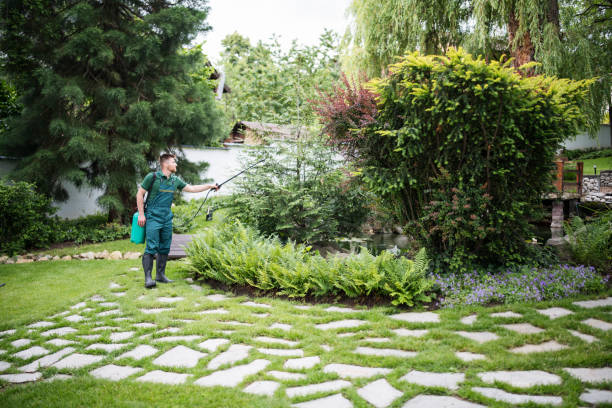 Best Pest Control Near Me  in Browns Mills, NJ