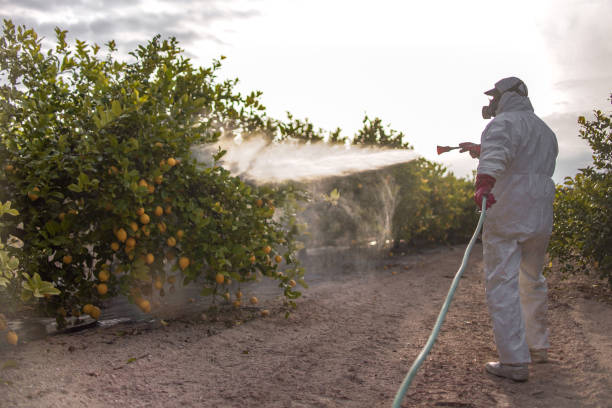 Best Mosquito Control Services  in Browns Mills, NJ