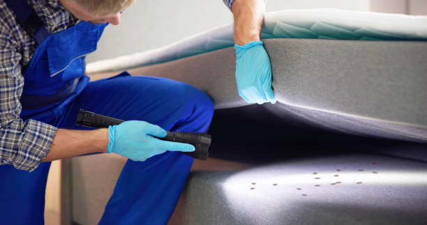 Best Flea Control Services  in Browns Mills, NJ