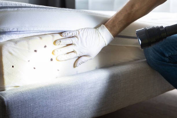 Best Rat Extermination Near Me  in Browns Mills, NJ
