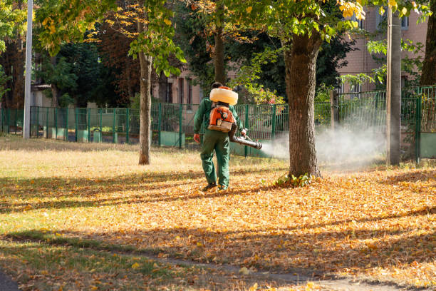 Pest Control Cost in Browns Mills, NJ