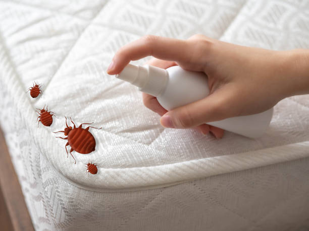 Best Pest Removal Services  in Browns Mills, NJ