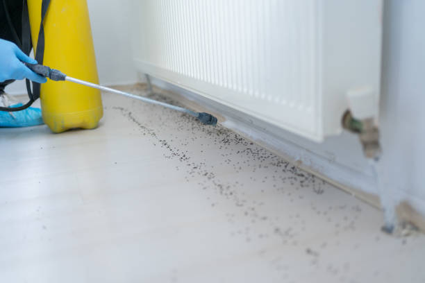 Best Commercial Pest Control Services  in Browns Mills, NJ