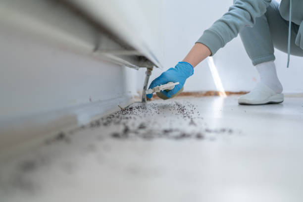 Best Flea Control Services  in Browns Mills, NJ