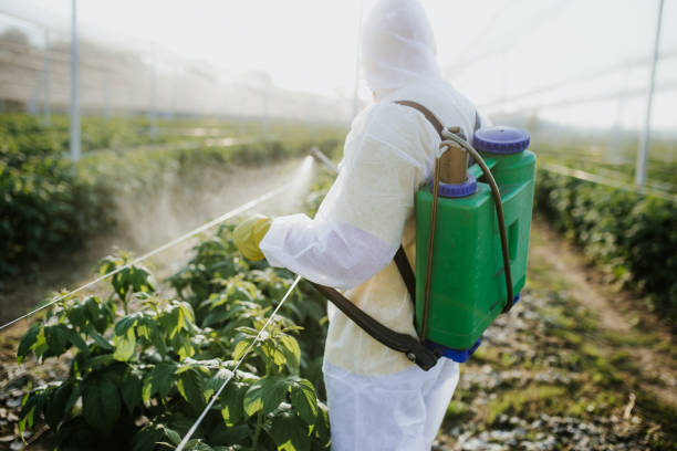 Best Pest Control Treatment  in Browns Mills, NJ